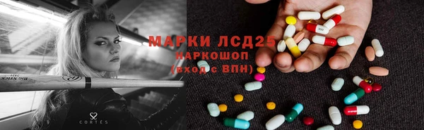 эйфоретик Алзамай