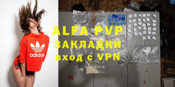 эйфоретик Алзамай