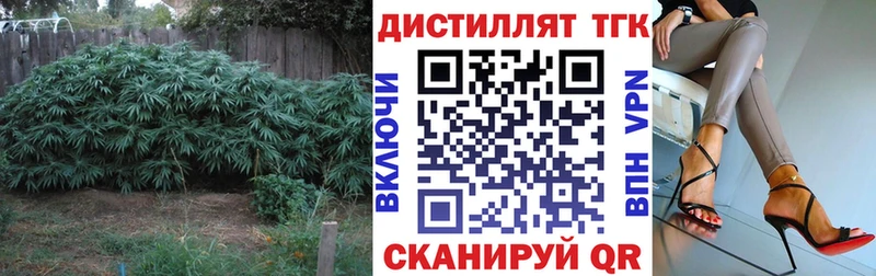 Дистиллят ТГК THC oil  omg маркетплейс  Ардатов 