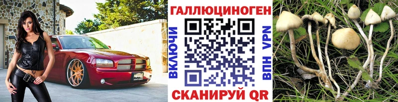 кракен ТОР  купить закладку  Ардатов  Псилоцибиновые грибы Magic Shrooms 